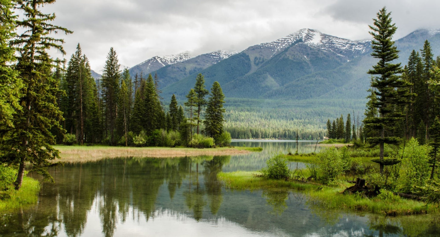 Why a Supplement Subscription Means a Better Quality of Life