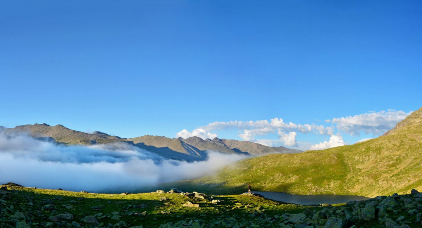 Recover Your Lost Energy With Comprehensive Core!