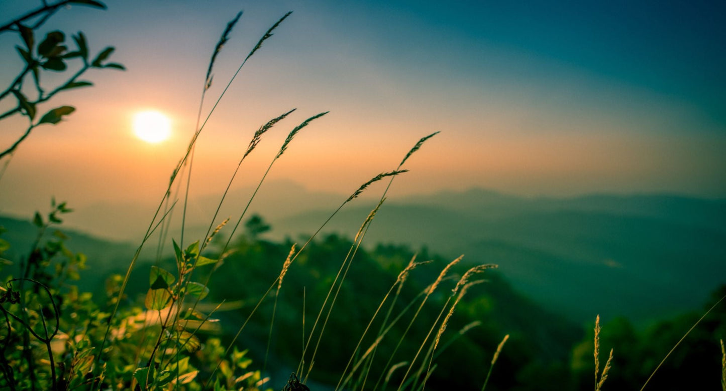 Grumbly Gut? Love Your Gut again With GI UltraMAX.