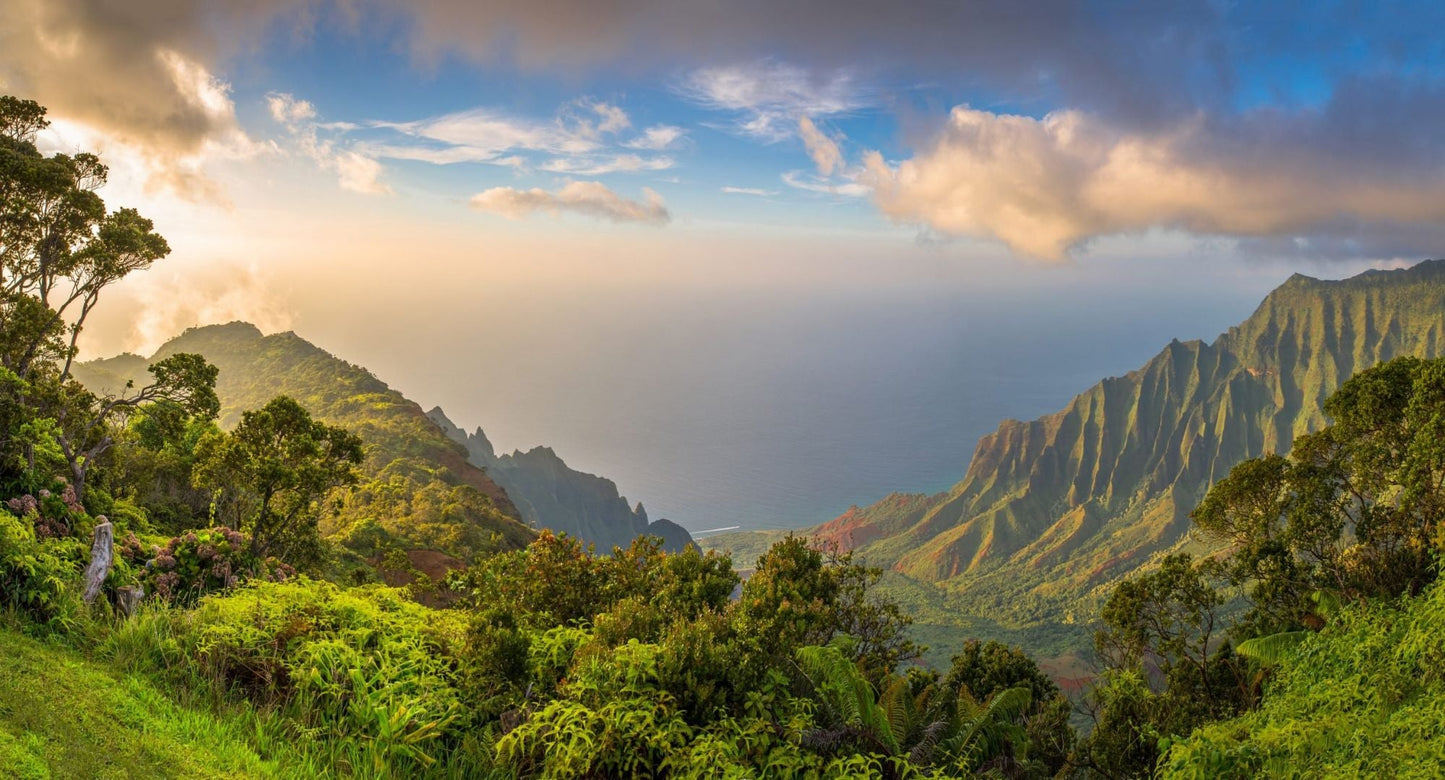 Humic and Fulvic Acids: What You Need to Know