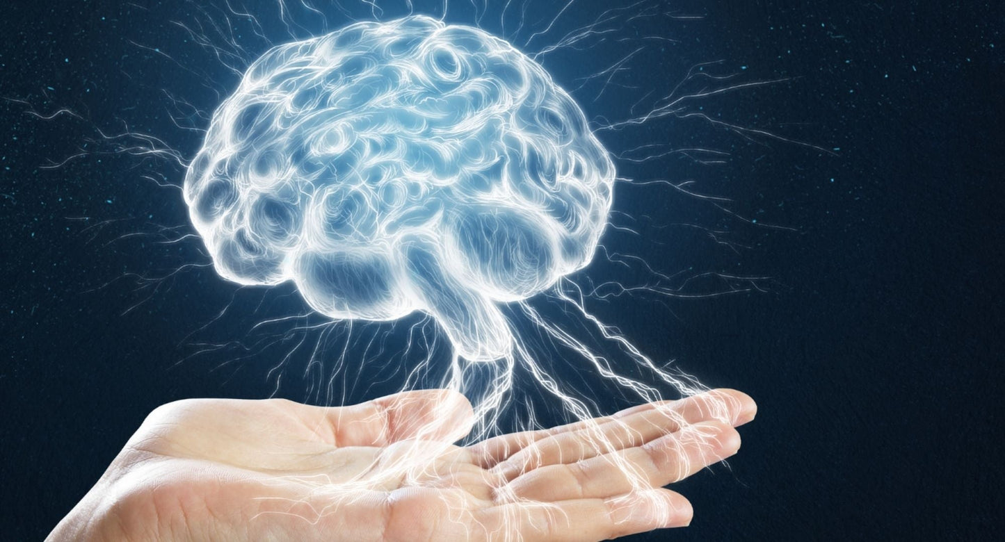 5 Plant-based Ingredients for a Better Brain